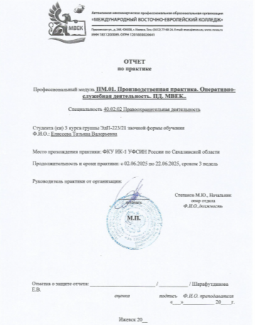 Пример титульного листа отчёта по практике МВЕУ